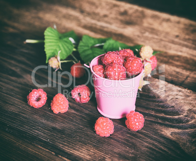 Ripe red raspberries in an iron bucket
