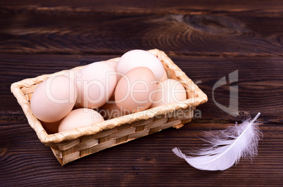 Raw chicken eggs in shells