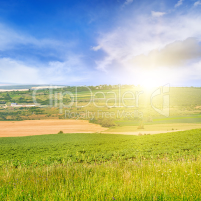 field and sunrise on blue sky