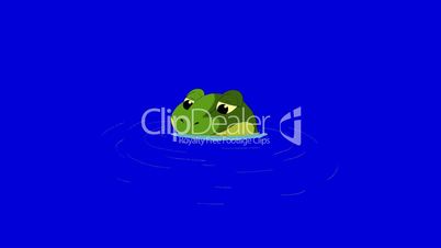Frog Dives into the Water isolated on Blue Screen