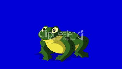Frog Croaking isolated on Blue Screen