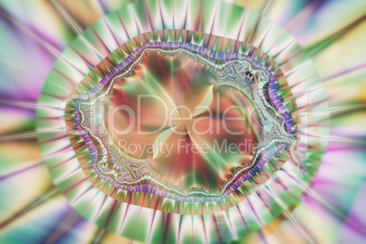 Colorful fractal image.