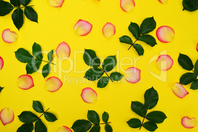 Abstract yellow background with yellow petals