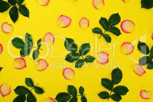 Abstract yellow background with yellow petals