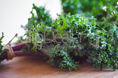 A bunch of fresh Kale salad