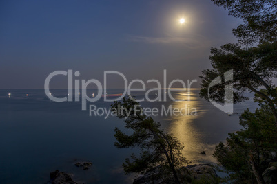 Night scene over the ocean with moon