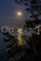 Night scene over the ocean with moon