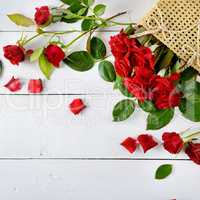 Red roses on a white wooden background.