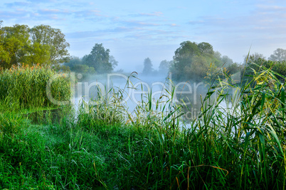 Photo of fog over the river in the morning