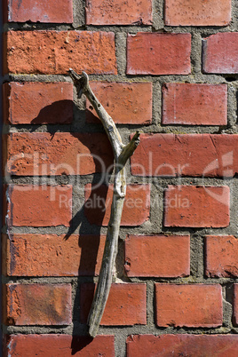 holzstock an der hausfassade