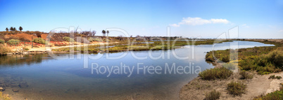 Peaceful and tranquil marsh of Bolsa Chica wetlands