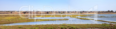 Peaceful and tranquil marsh of Bolsa Chica wetlands