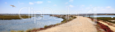Path along the peaceful and tranquil marsh of Bolsa Chica wetlan