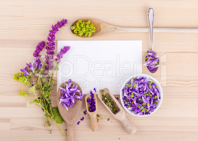 violet, edible flowers