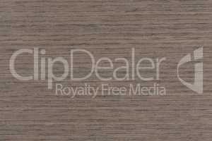 Gray oak wood texture on macro. Natural background for design.