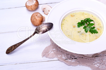 Mushroom mushroom soup in a white round plate