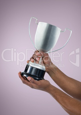 Person holding a trophy on hands