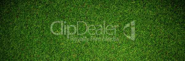 Close up view of astro turf