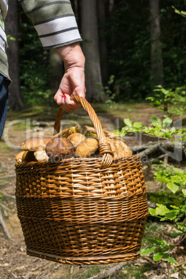 Korb mit Steinpilzen 03