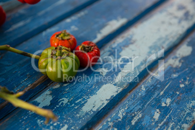 Close up of tiny green and red tomatoes