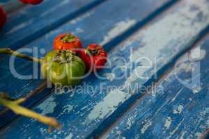 Close up of tiny green and red tomatoes