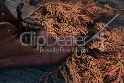 High angle view of shoe by dried leaves