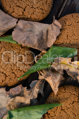 Overhead view of cookies and leaves