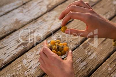 Cropped hand holding winter cherry