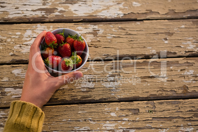 Cropped hand of woman holding bowl containing strawberries