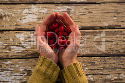 Overhead view of woman holding raspberries