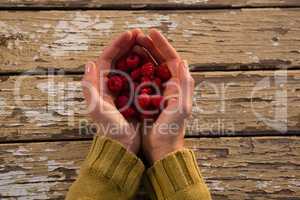 Overhead view of woman holding raspberries