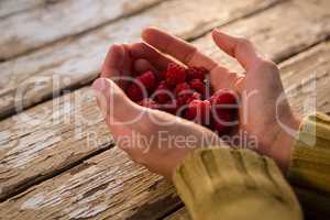 Cropped hand of woman holding raspberries