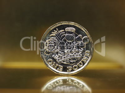 1 pound coin, United Kingdom over gold