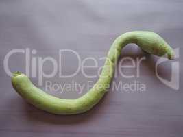 snake shaped pumpkin
