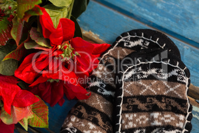 Close up of poinsettia by socks on table