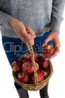 Mid section of holding basket containing apples