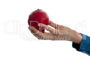Cropped hand on woman holding pomegranate