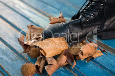 Close up of black shoe by dried leaves
