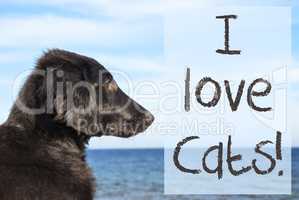 Dog At Ocean, Text I Love Cats