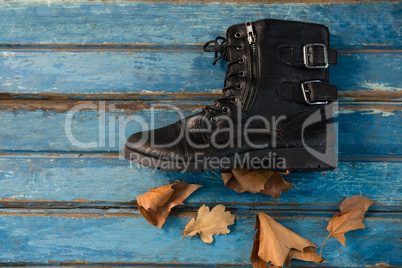 Overhead view of black shoe by dry leaves