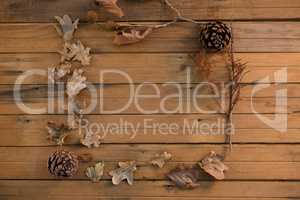 Overhead view of pine cone and dried leaves