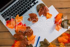 Overhead view of autumn leaves with paper by laptop