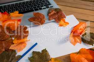 Close up of autumn leaves with paper by laptop