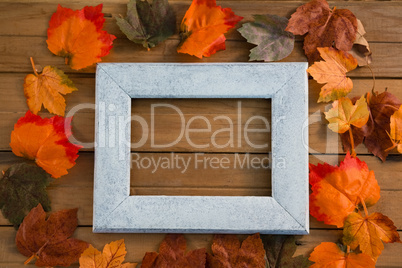 Overhead view of frame amidst autumn leaves