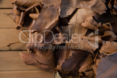 Close up of dried leaves