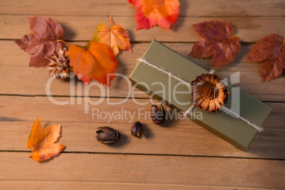 Overhead view of spices and box with maple leaf