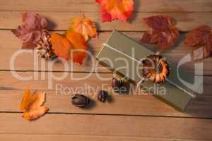 Overhead view of spices and box with maple leaf