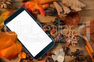 High angle view of mobile phone by spices