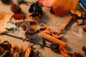 Close up of various spices