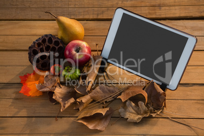 Plant pod with fruits by tablet computer